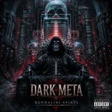 Cover art for Dark Meta