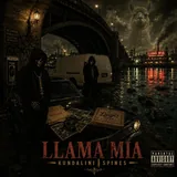 Cover art for Llama Mia